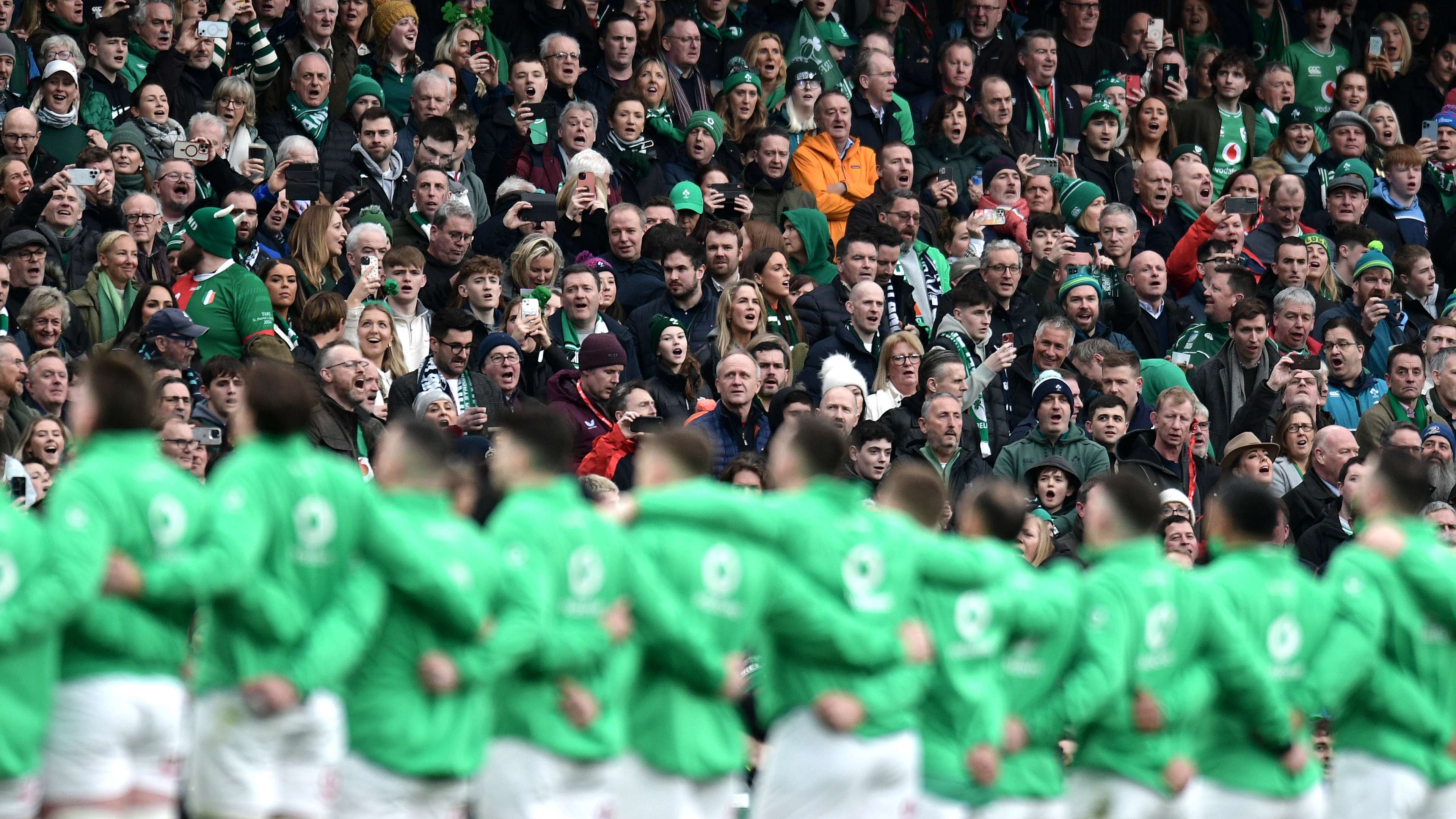 经验丰富的 经验丰富的