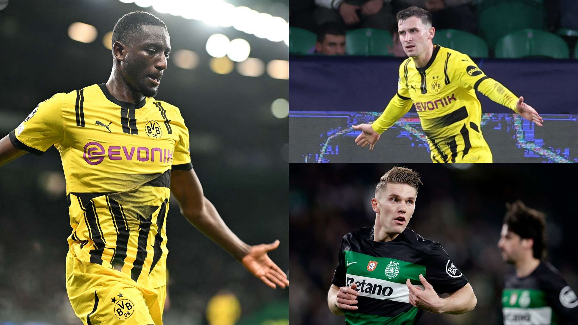 网的强大火 网的强大火