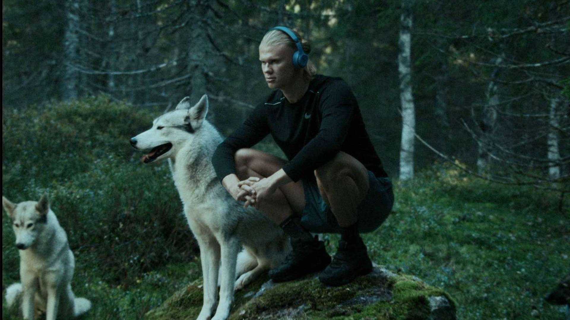 华丽转身 华丽转身